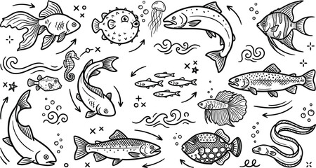 Obraz premium Hand Drawn Sea and Freshwater Fish Vector Set featuring Salmon, Trout, Goldfish, Eel, and Pufferfish Doodles for Aquarium, Restaurant Menus, and Fishing Theme Designs