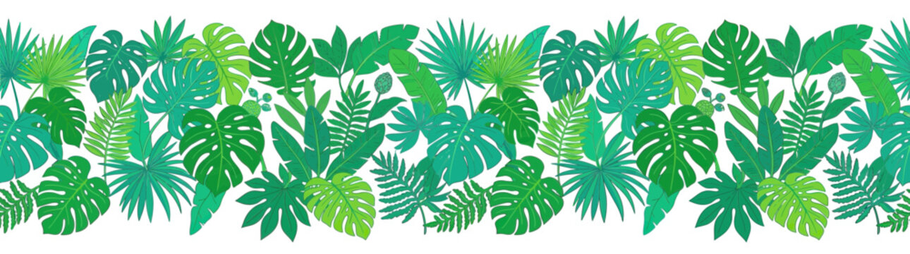 Tropical Green Leaf Pattern Border Design