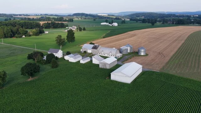 White farmhouse and stone bank barn cluster beside grain silos and outbuildings, cornfields and plowed farmland spread across rolling hills near Maxatawny, Pennsylvania. Aerial drone view.