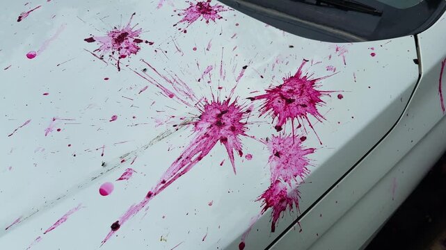 Orbiting shot around bright pink paint splatters scattered across the hood of a white car highlighting accidental surface stains and abstract patterns