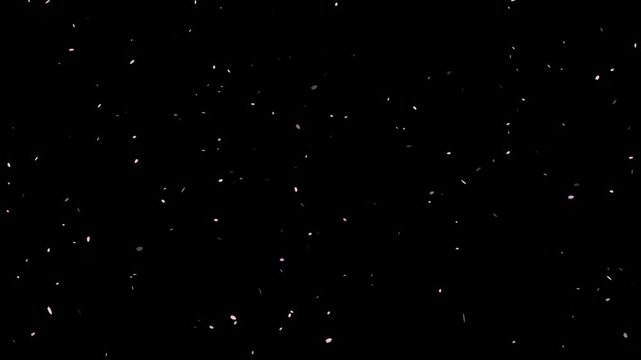 Dreamy background footage with soft pink petals floating