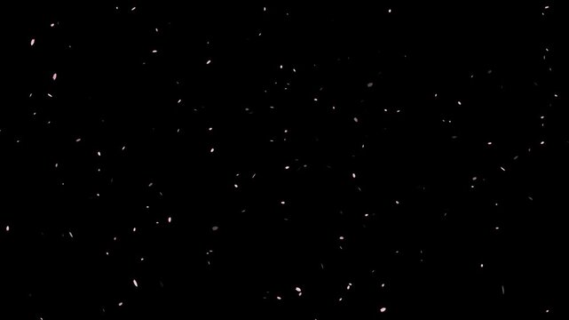 Dreamy background footage with soft pink petals floating