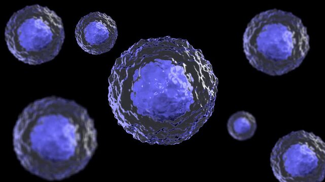 3D render medical illustration 4k footage of microscopic biological cells floating in alpha background for scientific research presentation