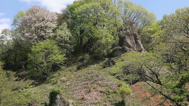 Camel Rock Formation in the Oya Stone Landscape, Utsunomiya, Tochigi, Japan