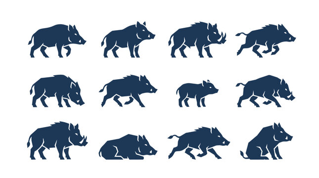 Wild Boar Silhouette Set in Various Poses Collection