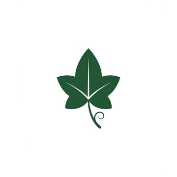 Dark green ivy leaf vector illustration with a curly stem, isolated on a clean white background.