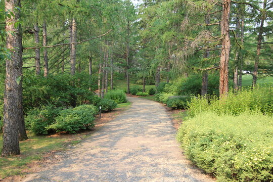 path in the garden