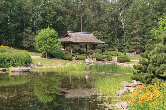 japanese garden with pond