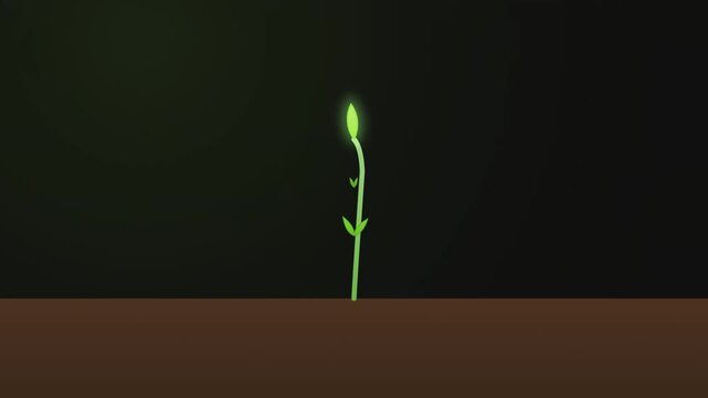 A small green plant sprout growing from the dark brown soil against a dark background representing new life beginning and nature growth in a simple minimalist style for environmental concepts