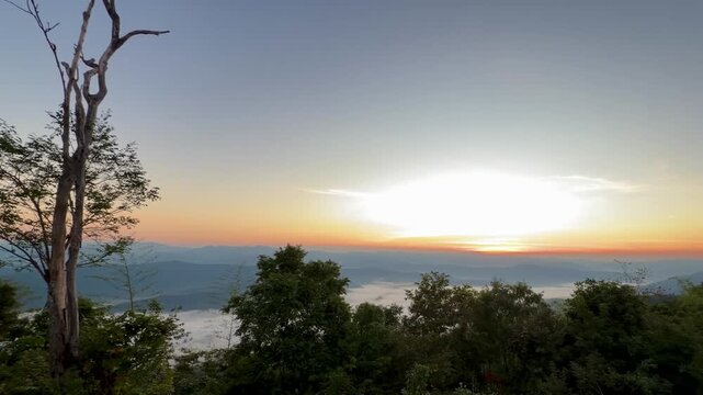 Morning sun rising over mountain valleys and a sea of fog framed by a silhouetted tree at Doi Samer Dao, Thailand.