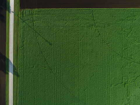 Overhead view of green crop paddock with white driveway alongside farmland