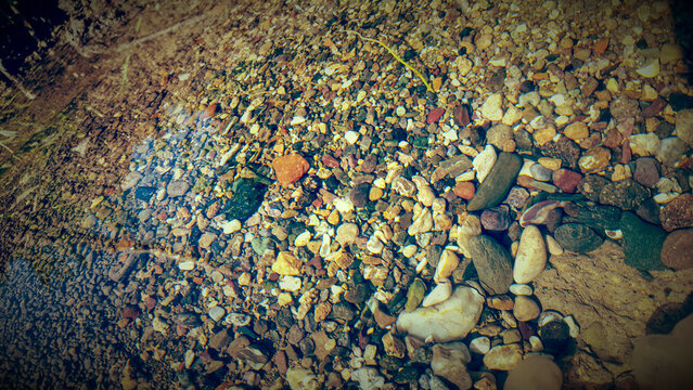 Multi-colored pebbles and gravel on a clear riverbed texture background