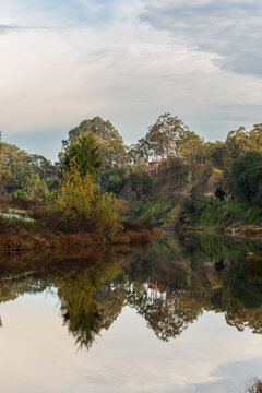 Reeds at the edge of a river reflecting in still waters with cliff face above