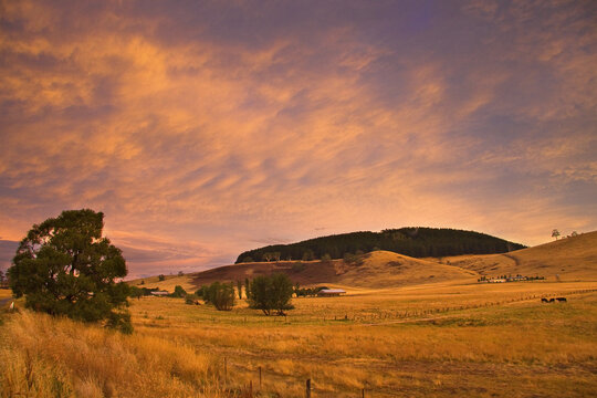 A vivid golden sunset sky over dry farmland and a distant mountain