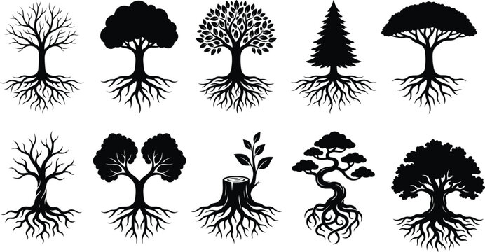 Tree Silhouette Collection with Roots and Botanical Nature Designs for Environmental GraphicsTree Silhouette Collection with Roots and Botanical Nature Designs for Environmental Graphics