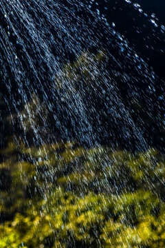 High shutter speed close-up photo capturing crisp water drops spraying from a sprinkler over dark green tropical garden trees during a hot sunny day in Brazil.