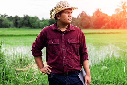 Farmer observing flooded rice field for agricultural inspection.