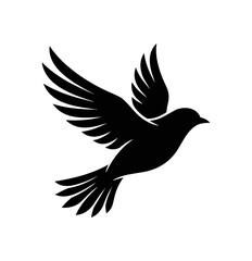 Fototapeta premium Silhouette of a Bird in Flight with Wings Spread.