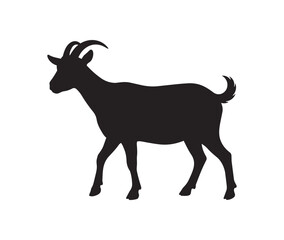 Fototapeta premium Silhouette of a Standing Goat with Horns.