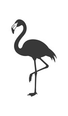 Fototapeta premium Silhouette of a Flamingo Standing on One Leg.
