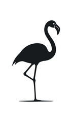 Fototapeta premium Silhouette of a graceful flamingo standing on one leg.