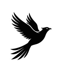Fototapeta premium Silhouette of a majestic bird in flight.