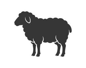 Silhouette of a Black Sheep Standing Still. © First