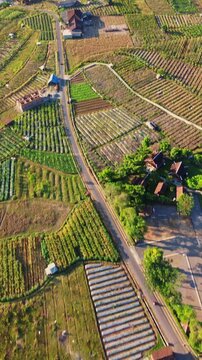 documentary scene. Aerial shot ascending over rural agricultural fields, houses, and winding road, revealing distant forested landscape.