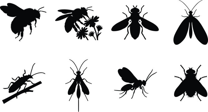 Set of black and white flying insect silhouettes, bees, beetles, and vector design