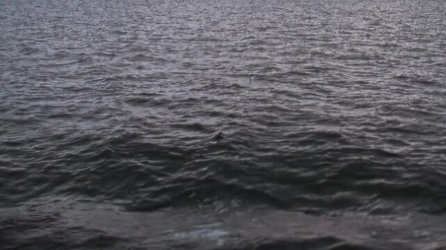Dark, choppy waves move across vast Arctic Ocean. Water reflects somber light, hinting at cold, extreme travel conditions endured in this powerful environment. Testament to nature's raw force.