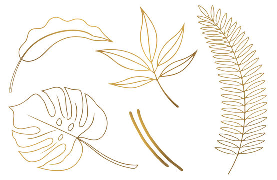 Luxury Gold Botanical Tropical Leaves Line Art Vector Collection