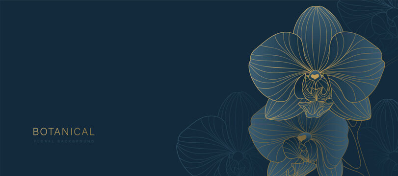 Luxury golden Orchid flower line art background vector. Natural botanical elegant flower with gold line art. Design illustration for decoration, wall decor, wallpaper, cover, banner, poster, card.