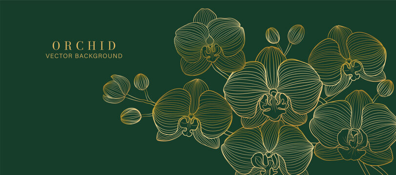 Luxury golden Orchid flower line art background vector. Natural botanical elegant flower with gold line art. Design illustration for decoration, wall decor, wallpaper, cover, banner, poster, card.