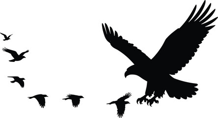 Fototapeta premium Flying Eagle Silhouette Collection Black Bird of Prey Vector Illustration Set
