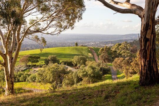 Hill with Adelaide in the background