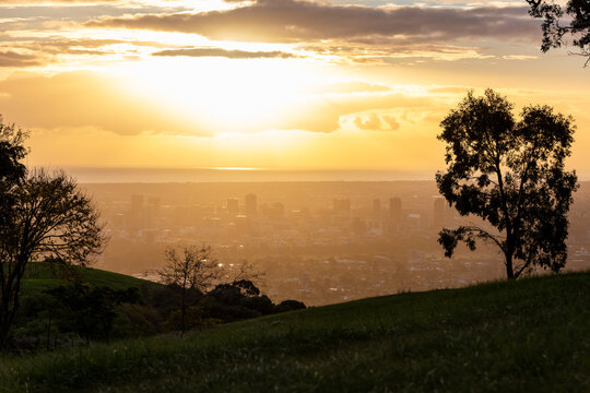 Sunset Silhouettes on Hill Overlooking Adelaide from Mount Osmond, South Australia
