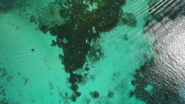 Los Roques, Los Roques, Venezuela - 01 January 2025: Aerial view of the turquoise waters and coral reefs of the Los Roques archipelago.