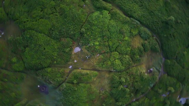Asheville, North Carolina, United States - 12 July 2026: Aerial view of a grassy field with walking paths and two people visible from above.