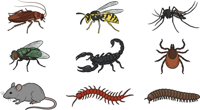 Pest Control Vector Icon Set with Cockroach Wasp Mosquito Fly Scorpion Tick Mouse Centipede and Millipede for Extermination and Hygiene Designs