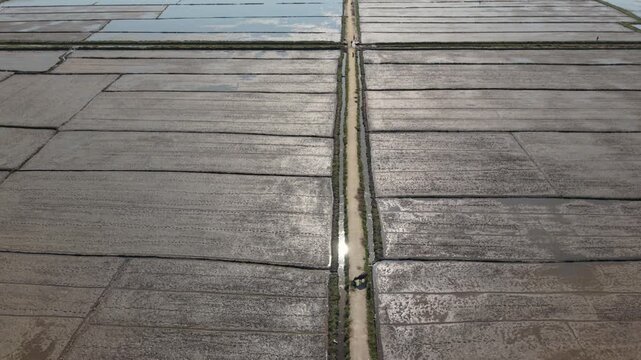 Single Worker Walking With Bicycle Along Narrow Dike Between Flooded Rice Paddies Near Hoi An, Dramatic Top Perspective, Shimmering Mud And Water, Human Scale In Vast Fields