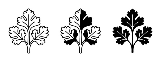 Obraz premium Cilantro Leaf Icons, Coriander Herb Vector Graphics, Fresh Herb Illustrations for Culinary and Health Designs