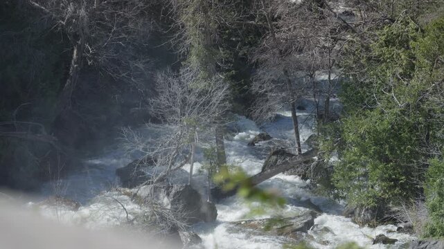 A fast-flowing river winds through a rugged spring forest with bare trees and a fallen log. High-volume runoff surges over rocks near Inglis Falls in Owen Sound, Ontario.
