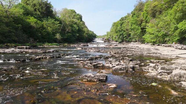 Aerial drone view flying over the cascading limestone waterfalls of Aysgarth Falls on the River Ure in the Yorkshire Dales