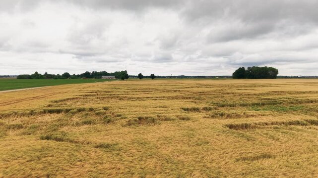Sweeping aerial footage of a vast golden wheat field beneath dramatic overcast clouds. The landscape is empty, showcasing rural beauty, moody skies, and striking wide angle composition.