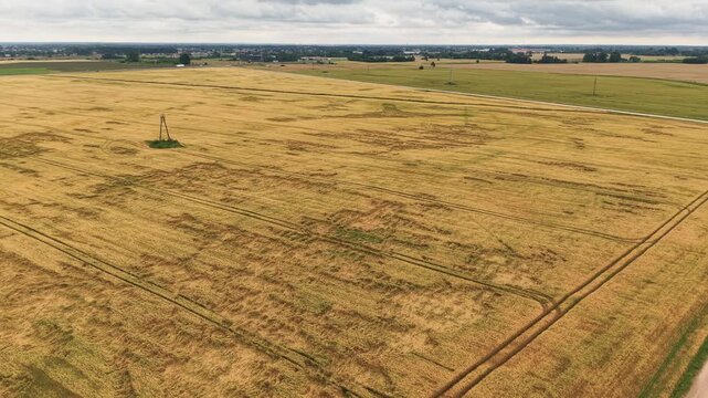 Sweeping drone video glides above a vast golden wheat field with visible crop tracks, moody overcast sky, and distant horizon. Aerial footage captures tranquil rural landscape.