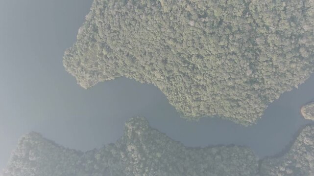River cutting through Atlantic Forest, Brazil. Aerial birdseye