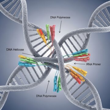 Molecular biology dna replication process illustration scientific concept