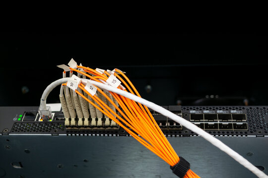 Fiber optic cables connected to network switch data center showing high speed communication infrastructure organized cabling reliable connectivity modern technology