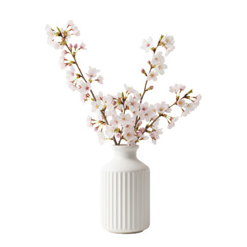 Delicate cherry blossom branches with light pink and white petals in a textured white ceramic vase against a seamless studio background, serene spring atmosphere