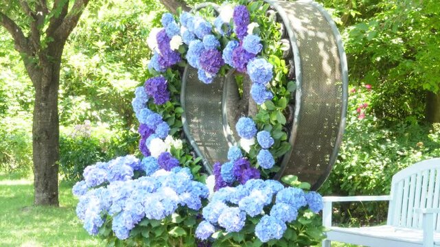 シンボルプロムナード公園に咲く美しい青と紫の紫陽花のリース型オブジェ